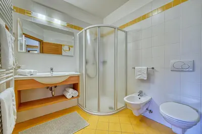 a bathroom with a shower and a toilet and a sink at Appartements Riegelehof in Laion
