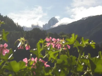 Gallery image of Prackfiedererhof in Funes
