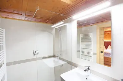 a bathroom with a sink and a shower and a mirror at Hanslerhof in Braies