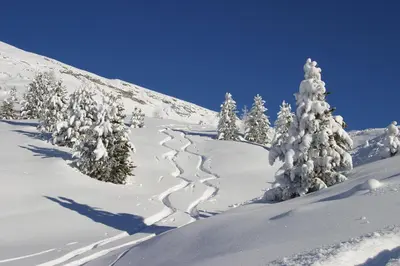 a snow covered slope with trees on a mountain at Hanslerhof in Braies