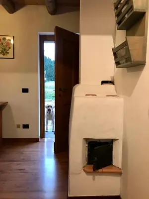 a dog standing in the doorway of a room with a fireplace at Agriturismo Maso Fumas in Canale dʼAgordo