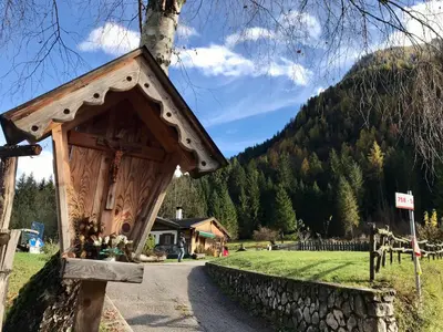 a wooden bird house on a tree in a field at Agriturismo Maso Fumas in Canale dʼAgordo