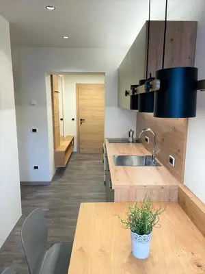 a kitchen with a sink and a table with a potted plant at Haus Schönblick in San Lorenzo di Sebato