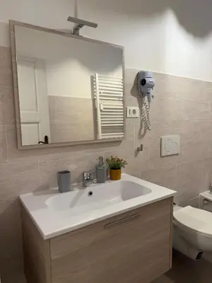 a bathroom with a sink and a mirror and a toilet at Friedrich Apartments in Merano