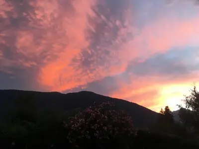 a sunset over a mountain with a tree in the foreground at Residence Bichler in Merano