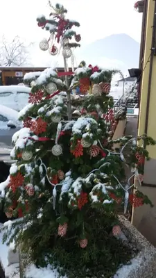 a christmas tree with snow on top of it at Residence Bichler in Merano