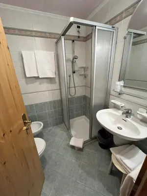 a bathroom with a shower and a toilet and a sink at Park Hotel Aurora in Pozza di Fassa