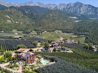 an estate in a vineyard with mountains in the background at Plarserhof in Lagundo
