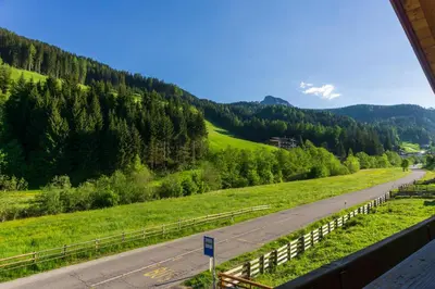 a road in the middle of a field with trees at Home in the Alps in Racines