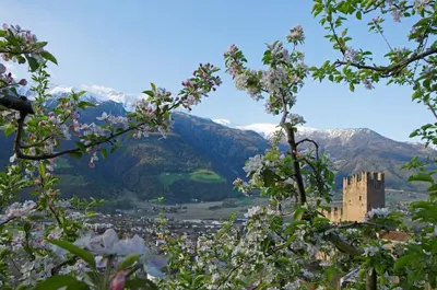 a view of a castle with mountains in the background at Fewo Dreiraum im Haus Götsch 3 in Parcines