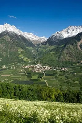 a view of a valley with snow covered mountains at Fewo Dreiraum im Haus Götsch 2 in Parcines
