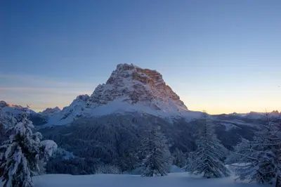 a mountain covered in snow with trees in the foreground at Rifugio Palafavera in Val di Zoldo