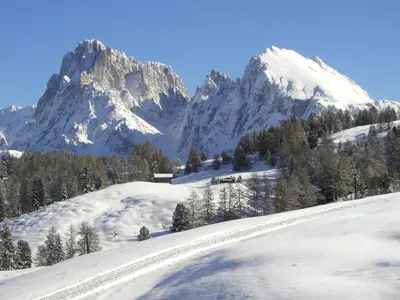 a snow covered mountain with trees on a snow covered slope at Appartements Karbon in Seiser Alm