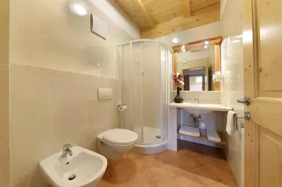 a bathroom with a toilet and a shower and a sink at Nestlhof in Racines