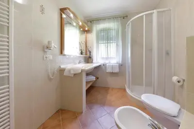 a bathroom with a sink and a shower and a toilet at Nestlhof in Racines