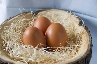 a group of eggs sitting in a wooden bowl at Cafe Schneider in Lappago