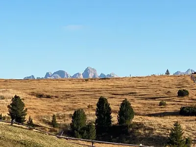 a field with trees and mountains in the background at Sturmhof in Chiusa