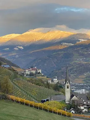 a vineyard with a church and a bunch of vines at Sturmhof in Chiusa