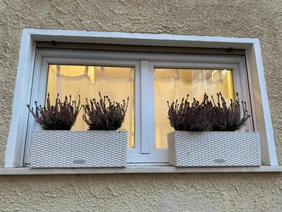 a window with two potted plants on a window sill at Samy s Home 1 FREE parking Wi-Fi in Bolzano
