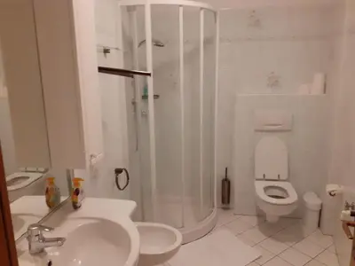 a bathroom with a shower and a sink and a toilet at Appartamenti Rumo in Rumo