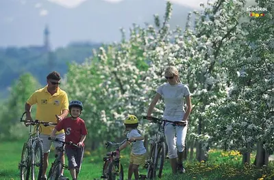 a family walking with bikes in a field with trees at Unterbi Apartments in Appiano sulla Strada del Vino