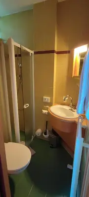 a bathroom with a sink and a shower and a toilet at Pension Fellis in Vols am Schlern