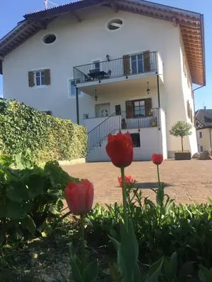 a house with red flowers in front of it at Mairhof in Missiano