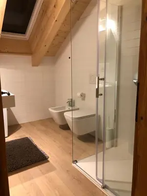 a bathroom with a glass shower and a toilet at Piano C Apartment in Cavalese