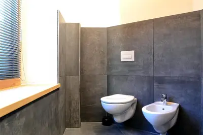 a bathroom with a toilet and a sink at Apartment El Molin - Alpe Cermis Dolomites in Cavalese