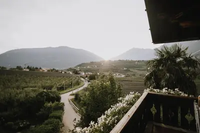 a view from a balcony of a vineyard with a road at Bäcksteinerhof in Merano