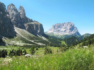 a valley in the mountains with grass and flowers at Apartment Apt 3 by Interhome in Canazei