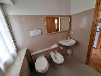 a bathroom with a toilet and a sink at NEGRITELLA in Alba di Canazei