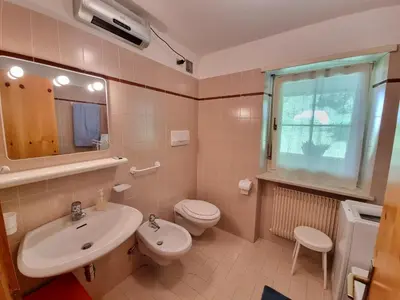 a bathroom with a sink and a toilet and a mirror at NEGRITELLA in Alba di Canazei
