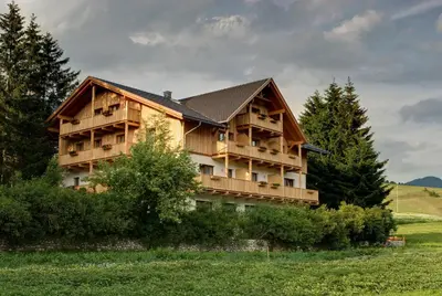 a large wooden house on a hill with trees at Garni Appartments Helvetia in Villabassa