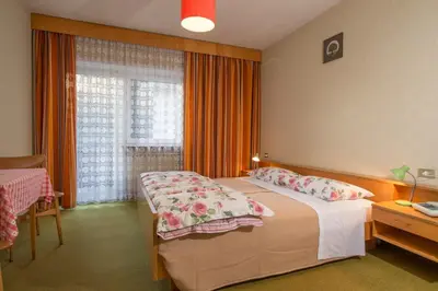 a hotel room with a bed and a window at Garni Appartments Helvetia in Villabassa