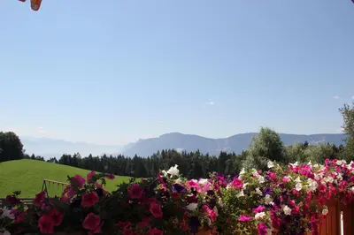 a field of flowers with mountains in the background at Gasthof St. Ulrich in Meltina