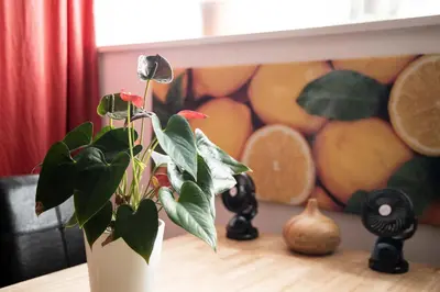 a plant in a white vase sitting on a table at White Tower of Love in Bressanone