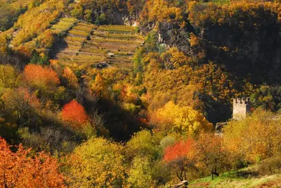 an autumn view of a hill with a castle and trees at B&B SEGONZANO in Segonzano