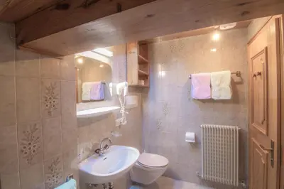 a bathroom with a white toilet and a sink at Apartments La Vara in Corvara in Badia