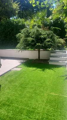 a green lawn with a tree in a yard at Villa Romana Meran in Merano