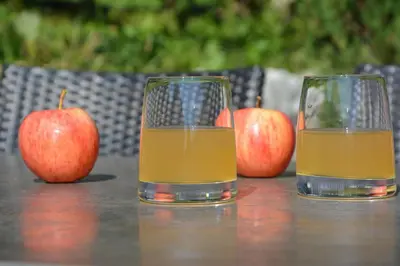 two glasses of orange juice on a table with apples at Ferienhaus Törggelehof in Cermes
