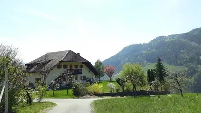 a house on a hill with a dirt road at Birbamergut in Longomoso