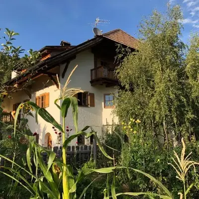 Birbamergut