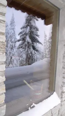a window with a view of a snow covered tree at Kronplatz Ski Lodge in Valdaora