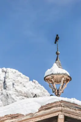 a bird perched on top of a snow covered roof at Almhotel Col Raiser in Santa Cristina in Val Gardena