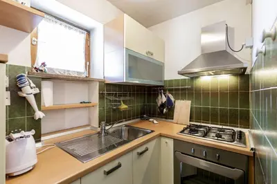 a kitchen with a sink and a stove at Solaia in Mazzin
