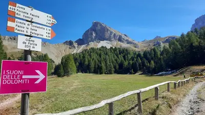 a pole with signs on a mountain road at B&BeautyFol Dolomites B&B adults only in Predazzo