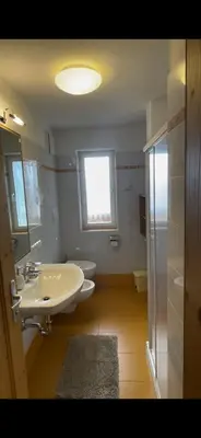 a bathroom with a sink and a toilet and a window at Oberpalwitterhof in Barbiano