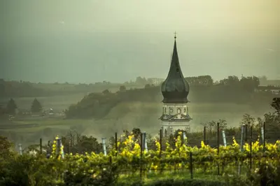 a church tower with a steeple in a field at Villa Aich in Appiano sulla Strada del Vino