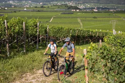 two people riding bikes on a path in a vineyard at Villa Aich in Appiano sulla Strada del Vino